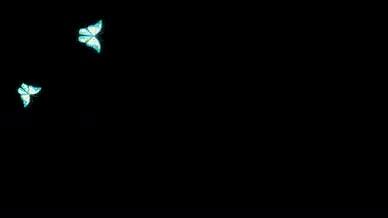 蝴蝶飞舞透明通道素材AE模板视频的预览图